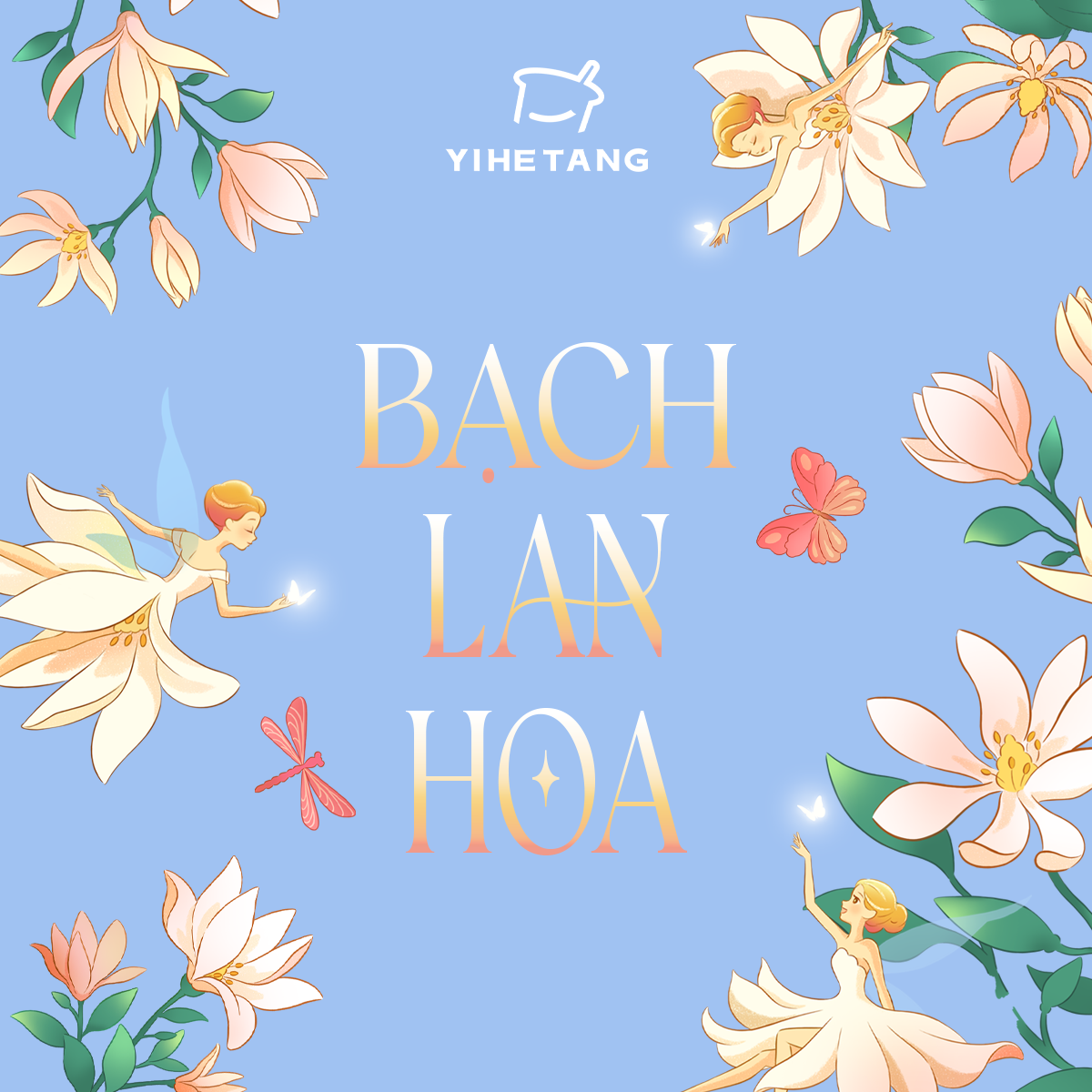 ava bạch lan