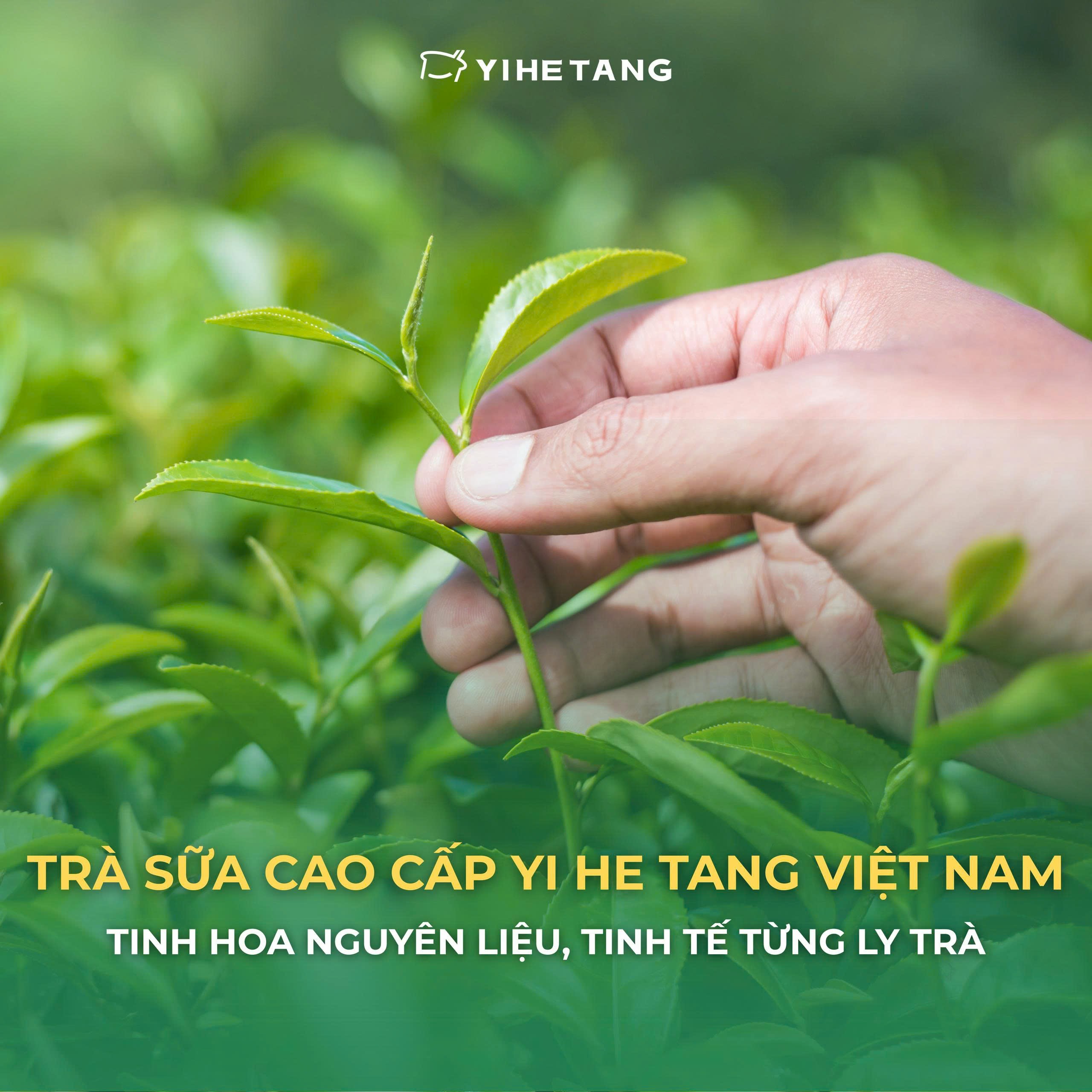 tra-sua-cao-cap